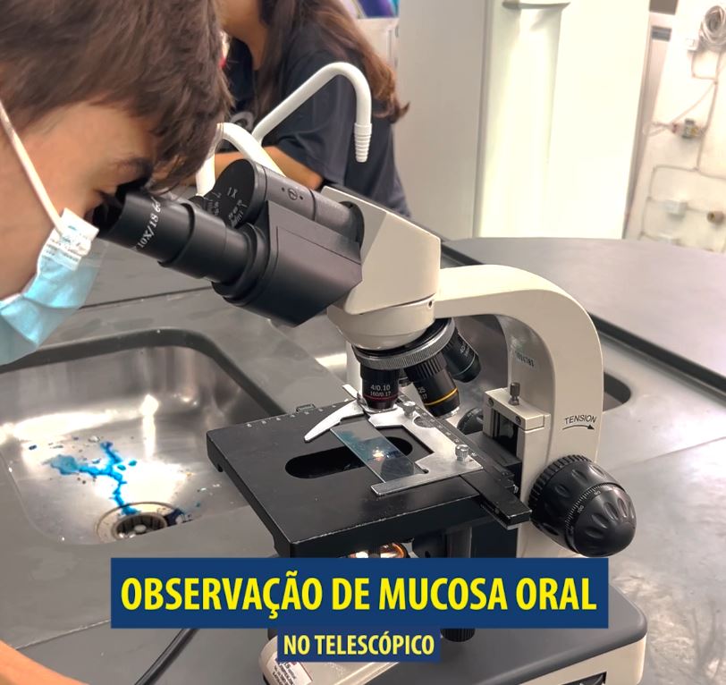 Observação de mucosa oral no telescópico - Ensino Médio